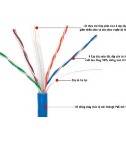 Dây cáp mạng Cat6 có những loại nào?