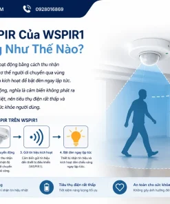 Công Tắc Cảm Biến Tuya WSPIR1: PIR, Wifi, Gắn Tường