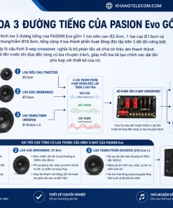 Cấu Hình Loa 3 Đường Tiếng Của PASION Evo Gồm Những Gì?