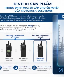 Máy Bộ Đàm Motorola XiR P6620i: Analog Digital, DMR, IP67