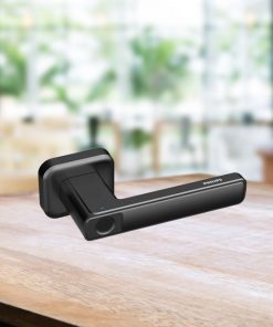 Khóa Philips DDL101P Có Những Phương Thức Mở Khóa Nào?
