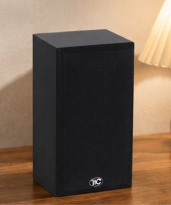 Loa Phóng Thanh IP ITC T-7707 Là Gì?