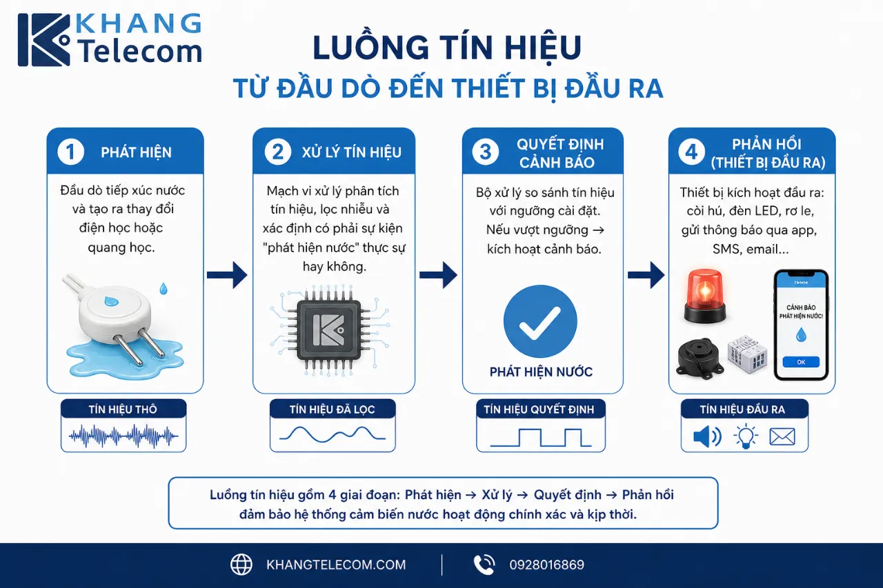 Luồng tín hiệu từ đầu dò đến thiết bị đầu ra