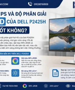 Màn Hình Máy Tính Dell P2425H: 23.8 Inch, IPS, 100Hz