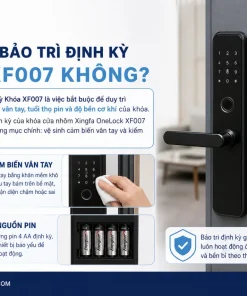 Có cần bảo trì định kỳ Khóa XF007 không?