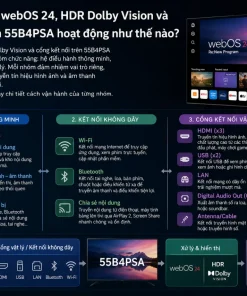 Công nghệ webOS 24, HDR Dolby Vision và cổng kết nối trên 55B4PSA hoạt động