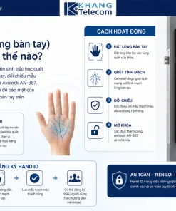 Hand ID (tĩnh mạch lòng bàn tay) là gì và dùng thế nào?
