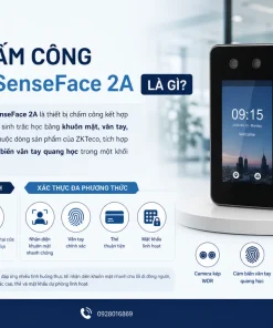 Máy Chấm Công ZKTeco SenseFace 2A