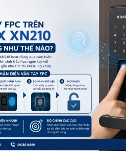 Vân tay FPC trên Ximex XN210 hoạt động như thế nào?