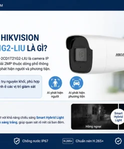 Camera IP HIKVISION DS-2CD1T21G2-LIU