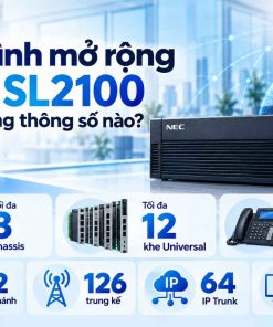 Cấu hình mở rộng của SL2100 gồm những thông số nào?